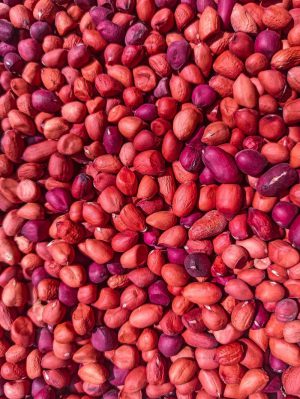 Cacahuète rouge - كاوكاو احمر