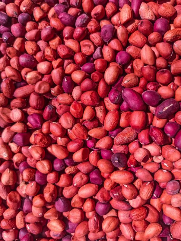Cacahuète rouge - كاوكاو احمر